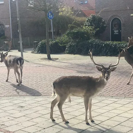 Appartement 4 Seasons *