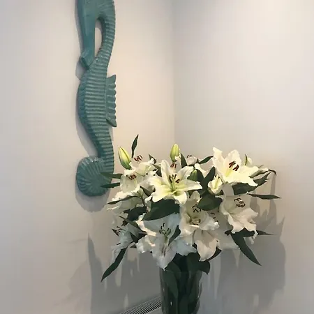 4 Seasons * Зандфорт