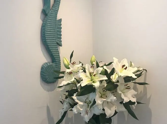 4 Seasons * Zandvoort