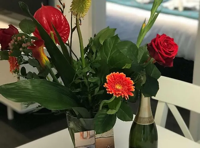 4 Seasons Apartment *